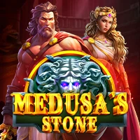 MEDUSA'S STONE